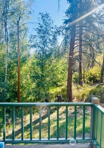 146 E Chewuch Road Winthrop WA 98862