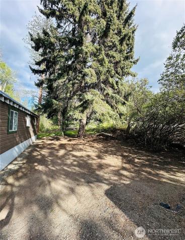 146 E Chewuch Road Winthrop WA 98862