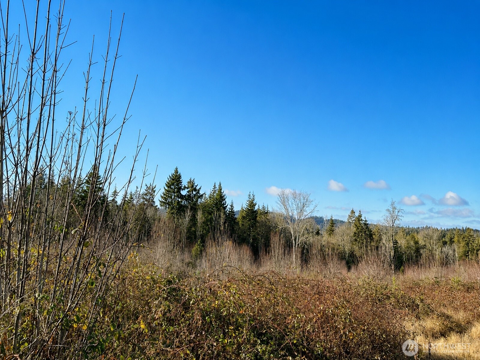 12426 NE Phillip Drive S Kingston WA 98346