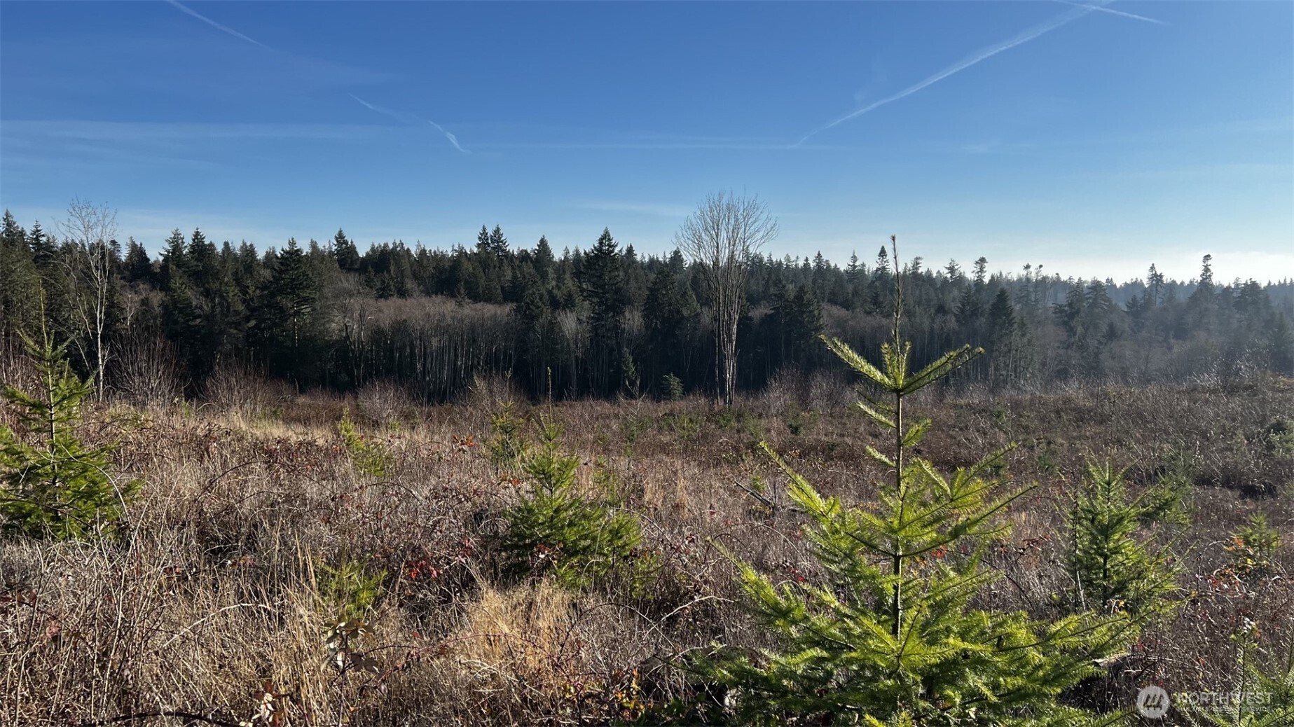 12426 NE Phillip Drive S Kingston WA 98346