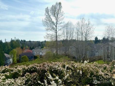 23419 NE 10th Place Sammamish WA 98074