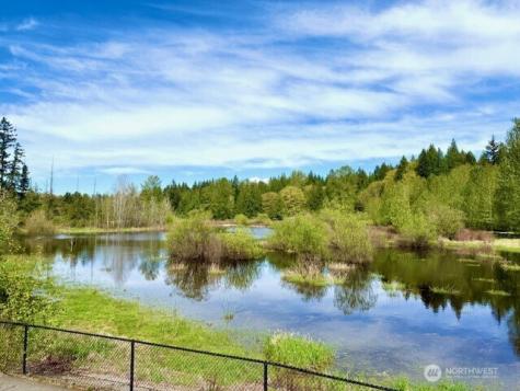 23419 NE 10th Place Sammamish WA 98074