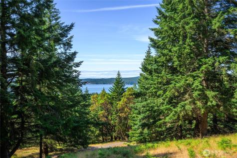 177 Harmon Ranch Hill Road Decatur Island WA 98221