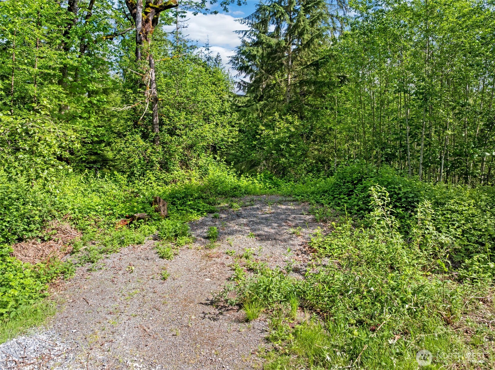 23408 253rd Avenue SE Maple Valley WA 98038