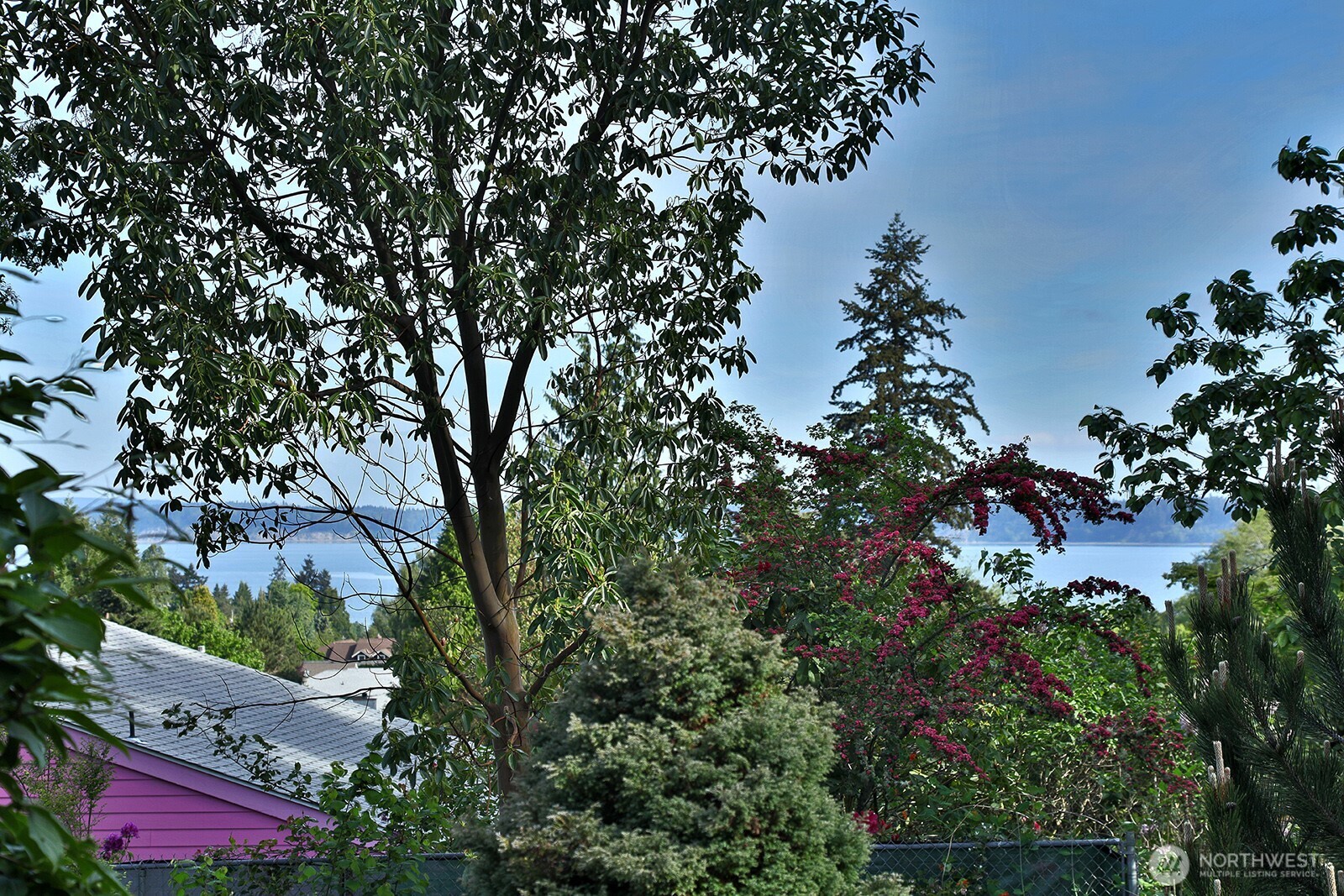 259 Laurel Loop Langley WA 98260