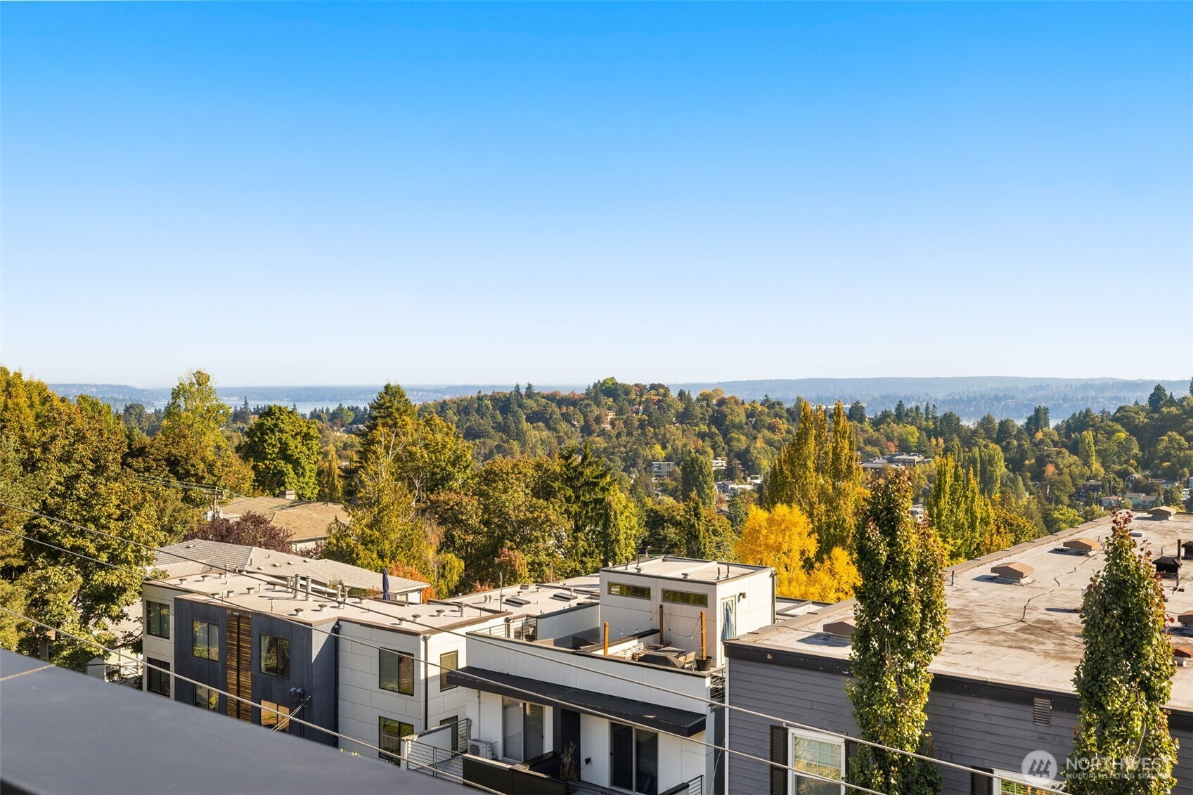 113 24th Avenue E Seattle WA 98112