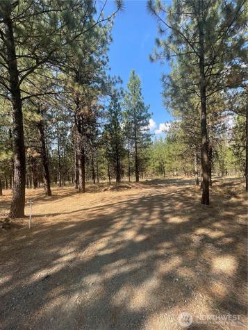 12 Caribou Road Tonasket WA 98855