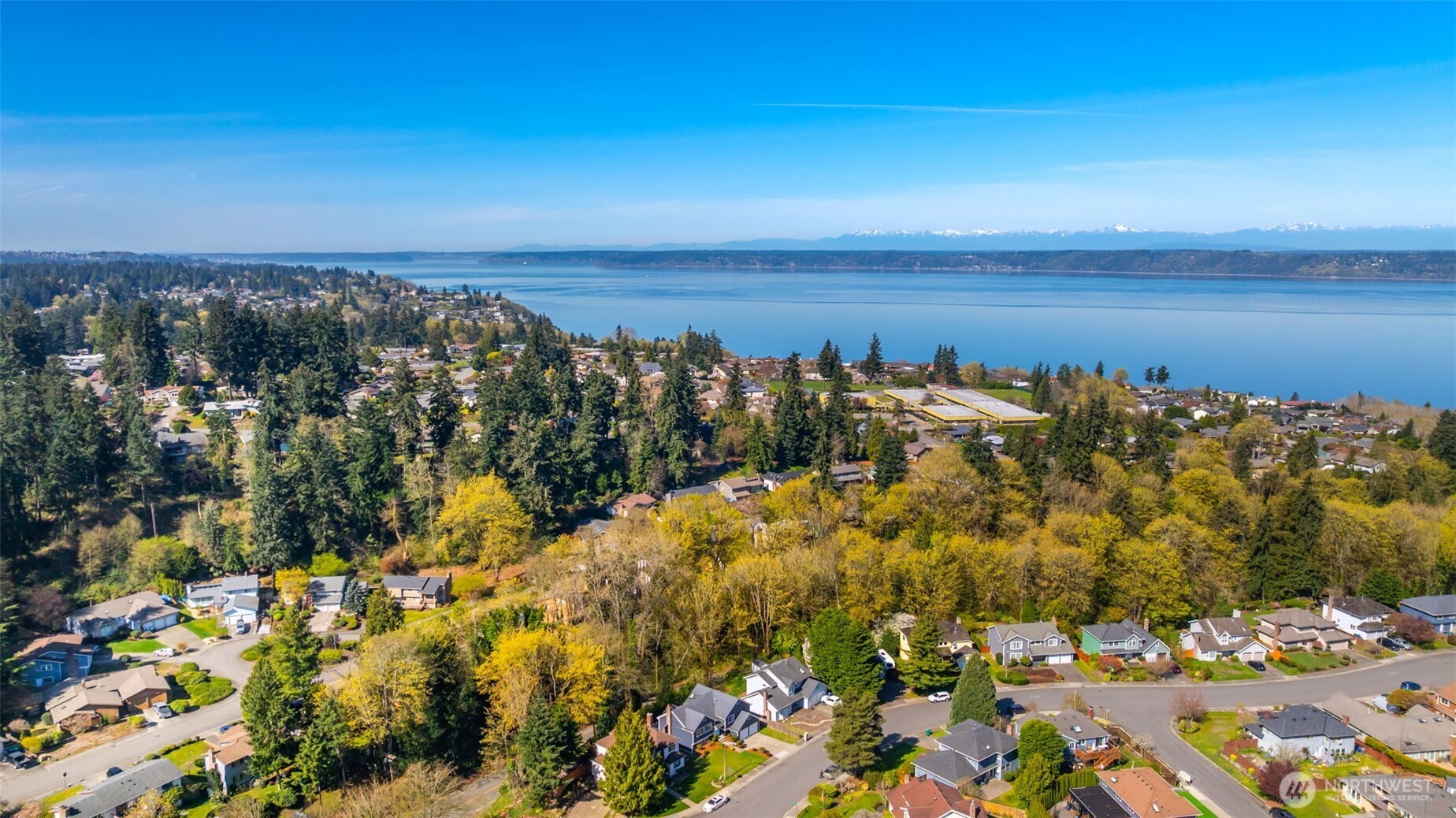 29027 13th Avenue S Federal Way WA 98003
