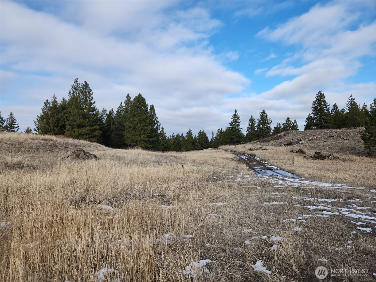 10 Mountain View Road Republic WA 99166