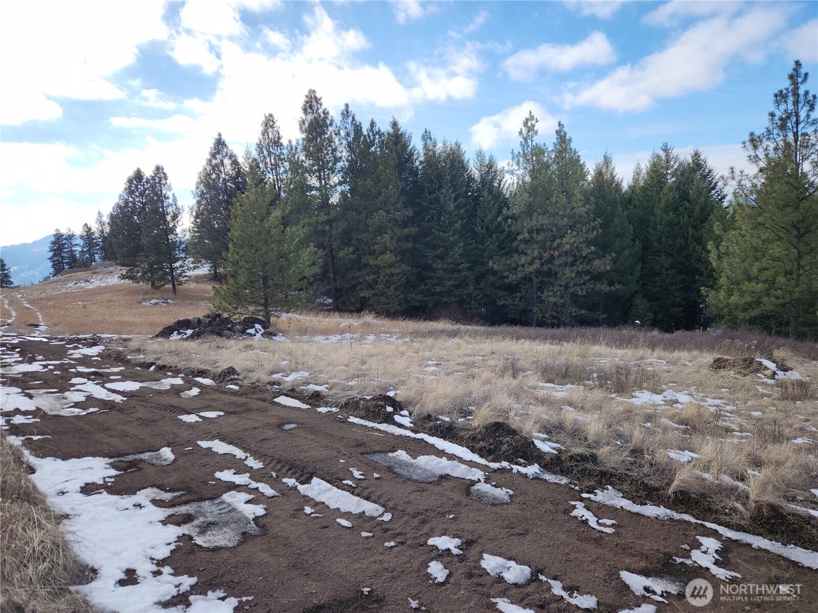 10 Mountain View Road Republic WA 99166