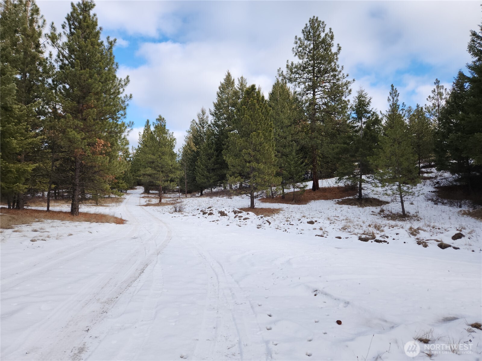 10 Mountain View Road Republic WA 99166