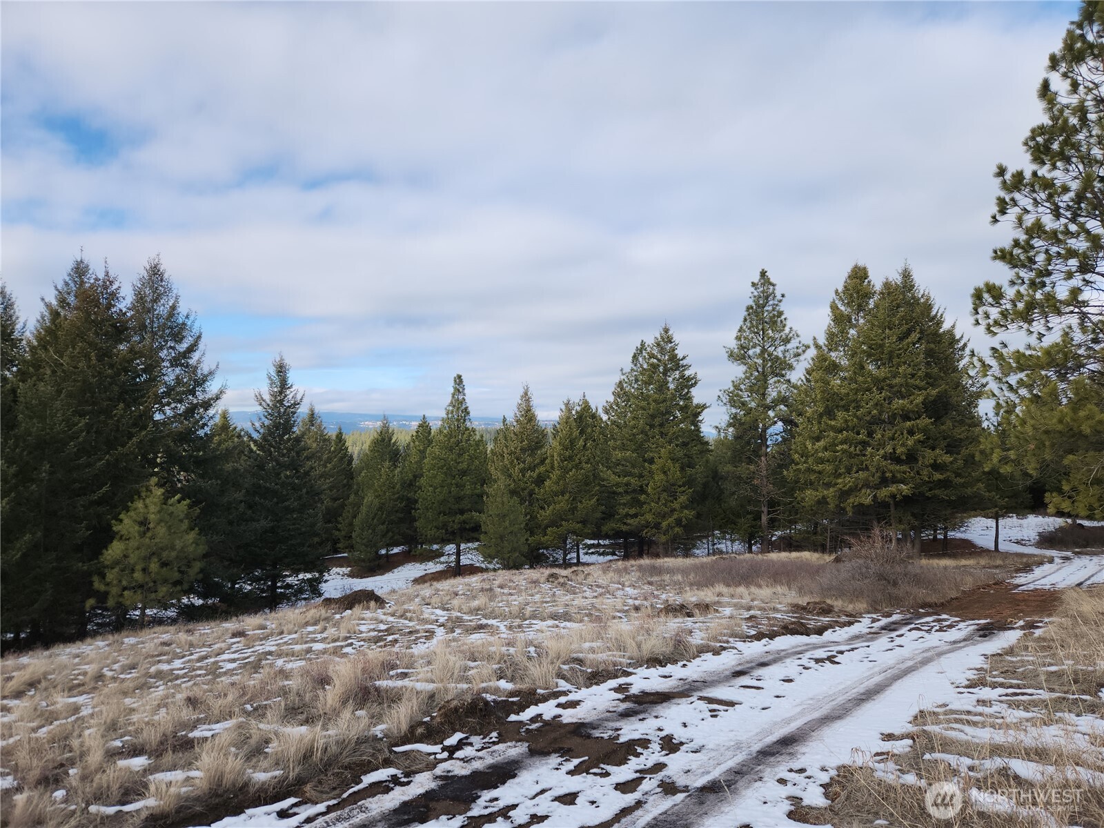 10 Mountain View Road Republic WA 99166