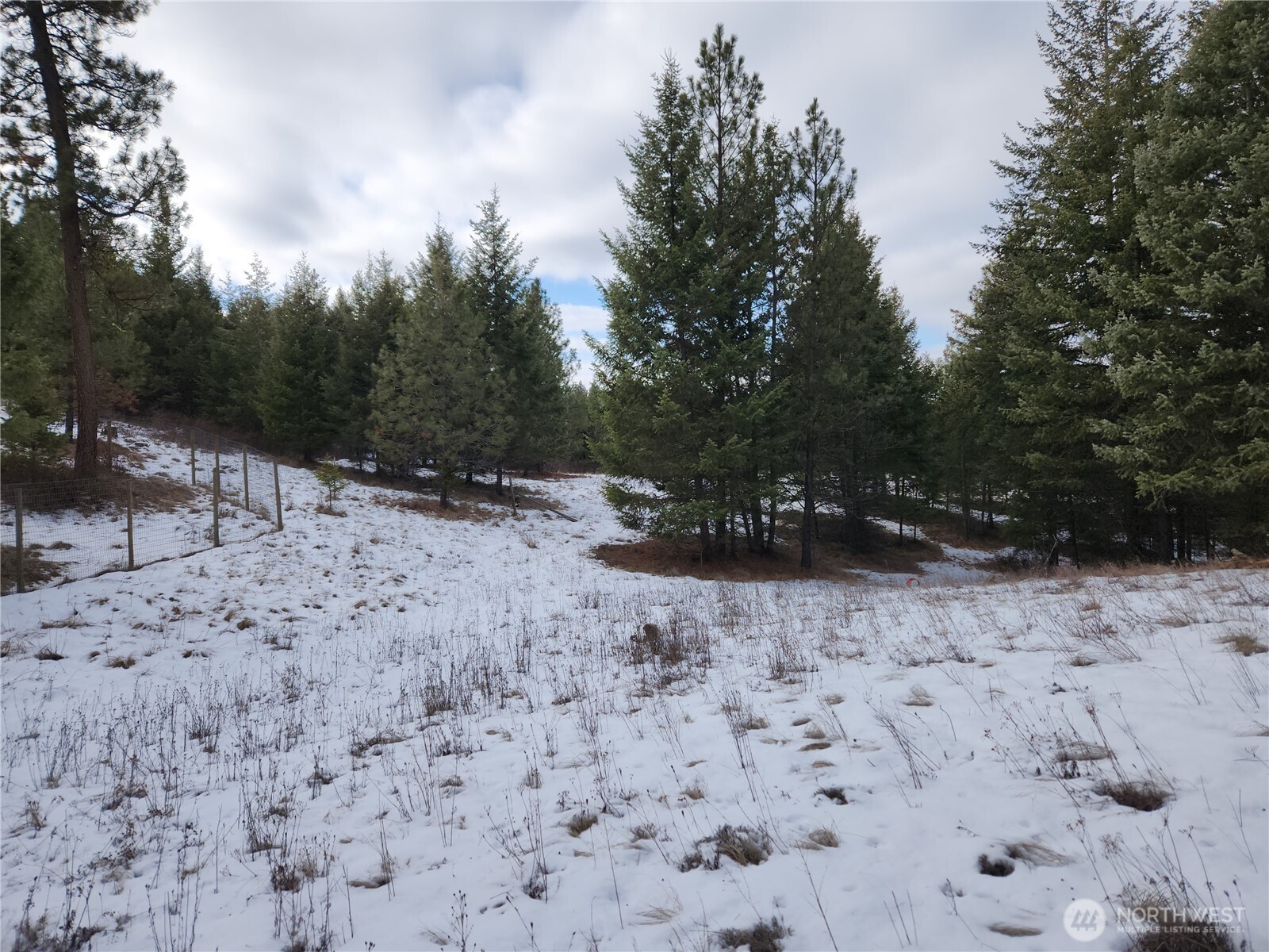 10 Mountain View Road Republic WA 99166