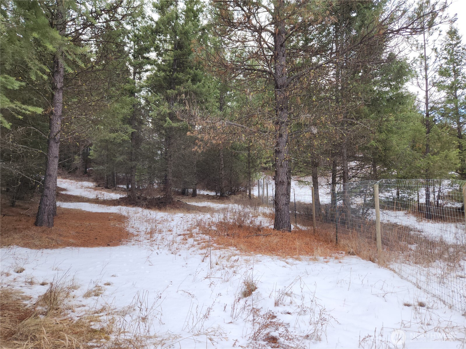 10 Mountain View Road Republic WA 99166
