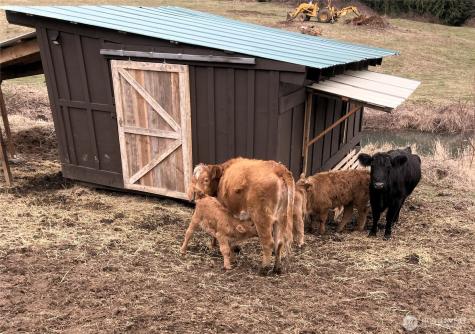 25451 Lake Cavanaugh Road Mount Vernon WA 98274