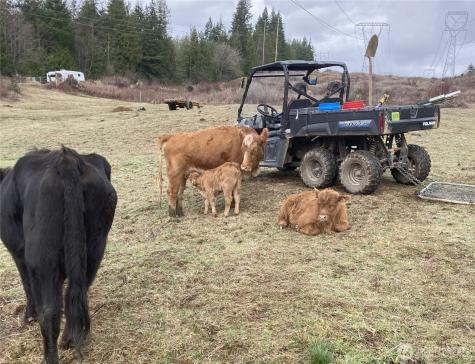 25451 Lake Cavanaugh Road Mount Vernon WA 98274