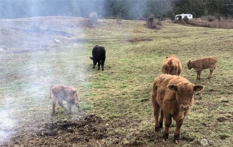 25451 Lake Cavanaugh Road Mount Vernon WA 98274