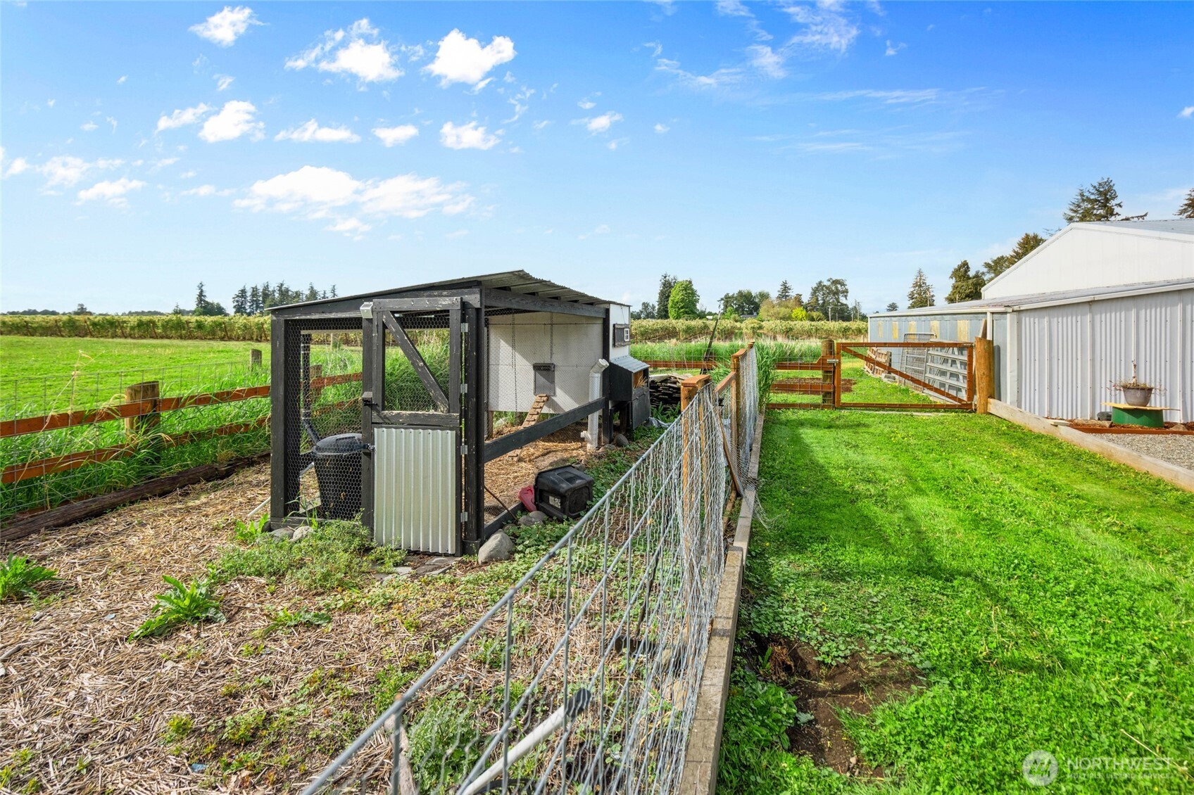 6515 Lawrence Road Everson WA 98247
