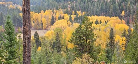 11411 Shugart Flats Road Leavenworth WA 98826