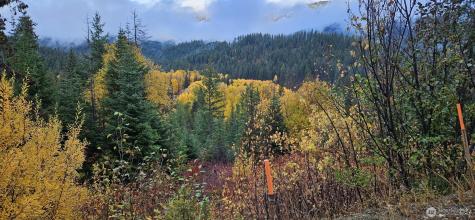 11411 Shugart Flats Road Leavenworth WA 98826