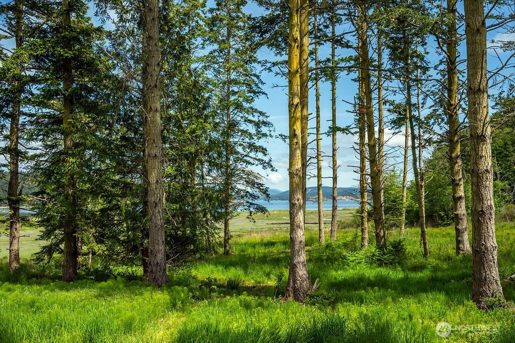 3757 Mud Bay Road Lopez Island WA 98261