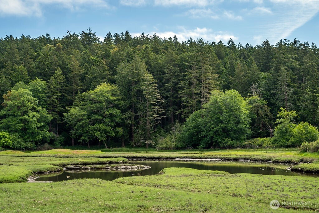 3757 Mud Bay Road Lopez Island WA 98261