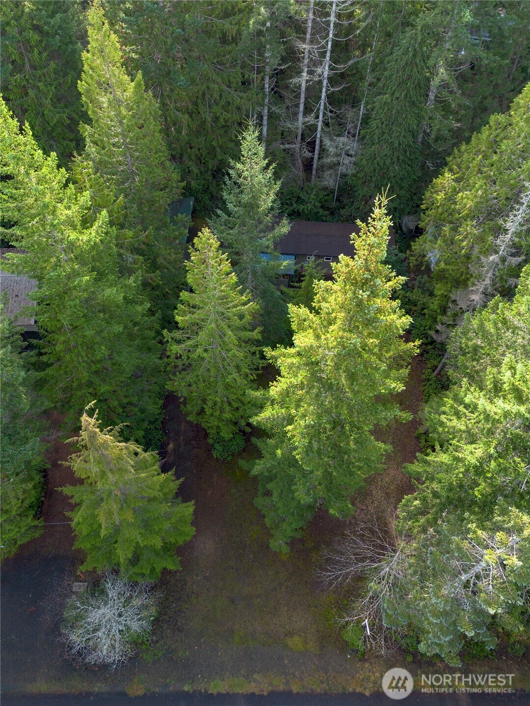 120 King Drive Brinnon WA 98320