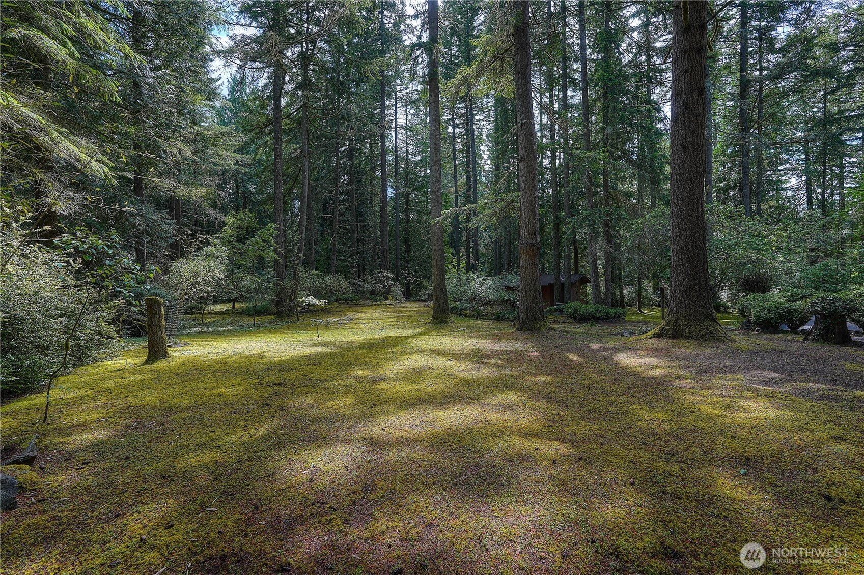 3812 154th Street Ct NW Gig Harbor WA 98332