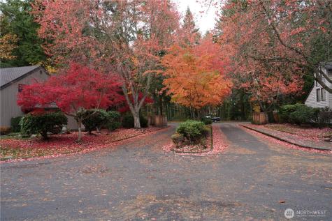 1770 159th Avenue NE Bellevue WA 98008