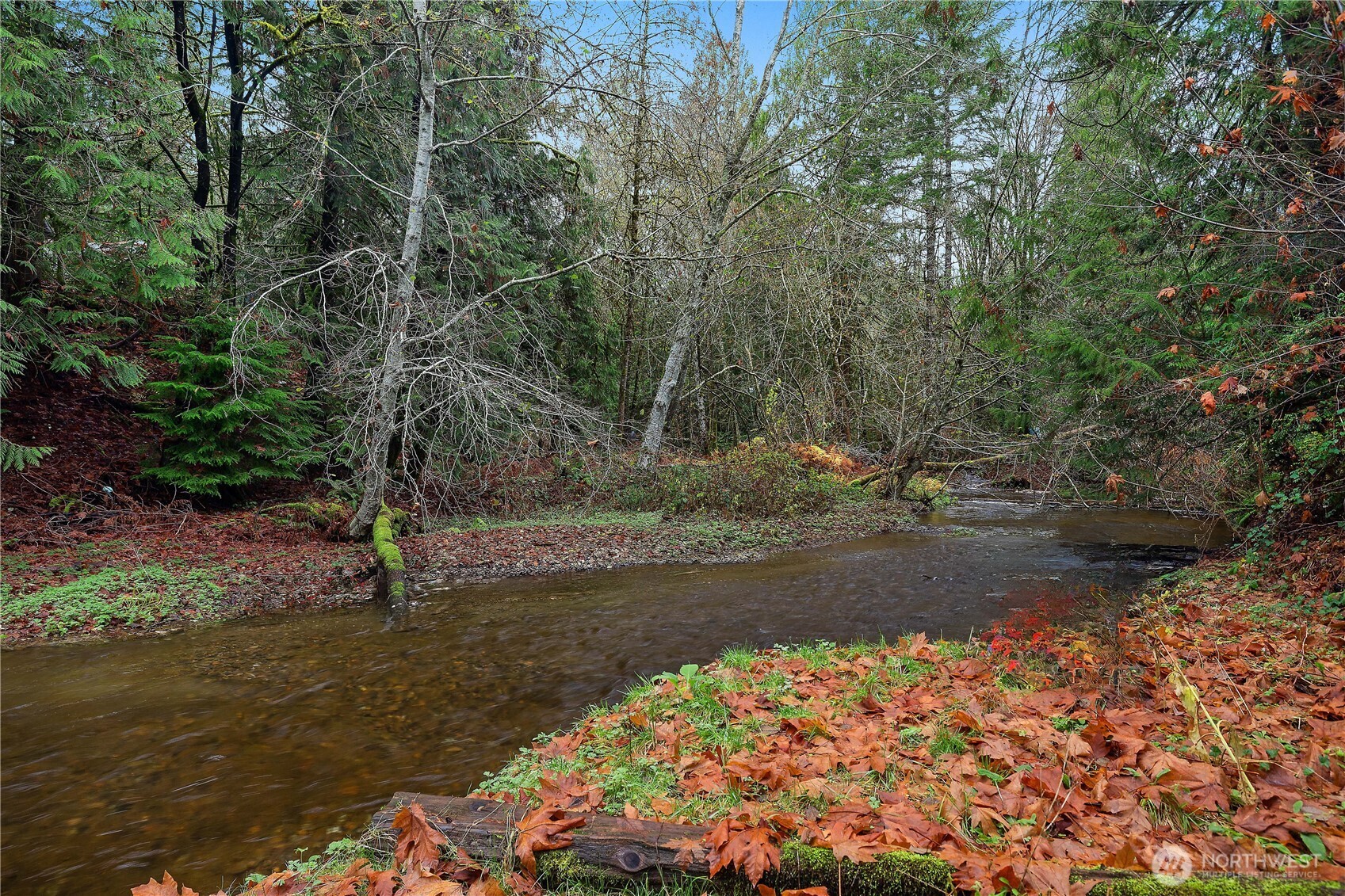 310 E Olde Lyme Road Shelton WA 98584