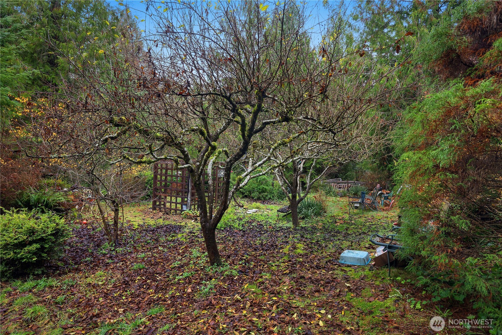 310 E Olde Lyme Road Shelton WA 98584