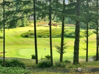 310 E Olde Lyme Road Shelton WA 98584