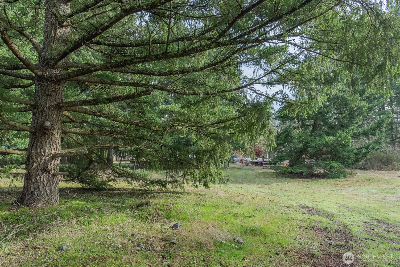 11025 Vancil Road SE Yelm WA 98597