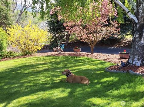 107 Westlake Road Oroville WA 98844