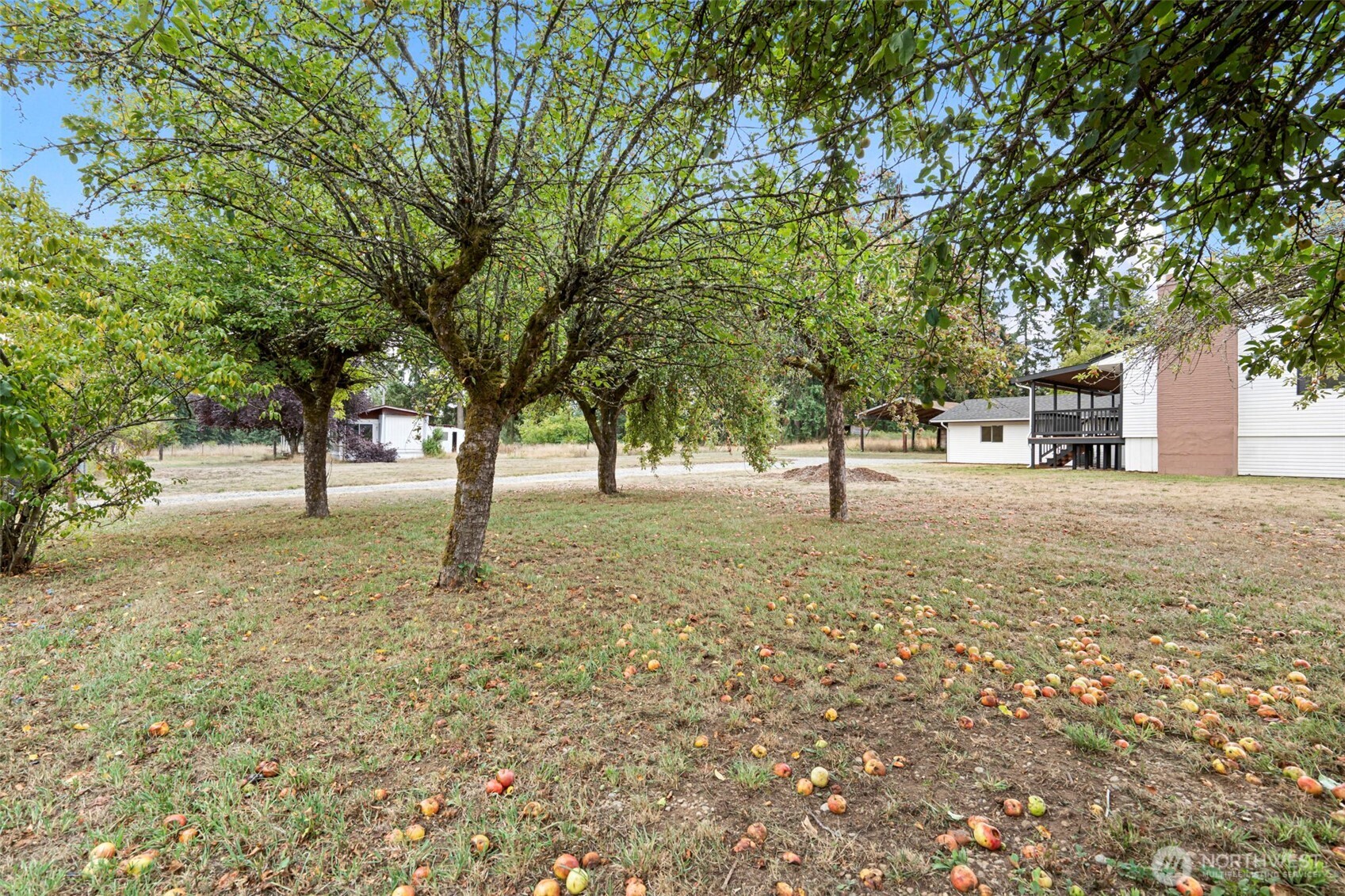 7804 280th Street S Roy WA 98580