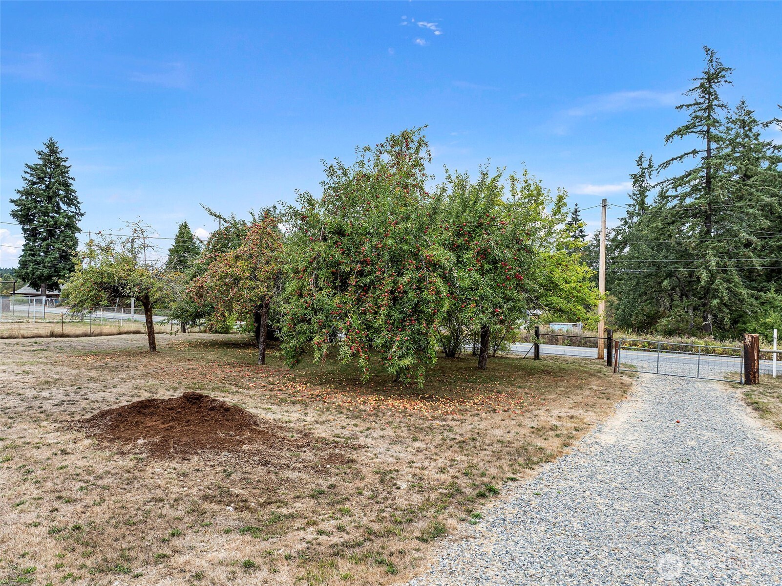 7804 280th Street S Roy WA 98580