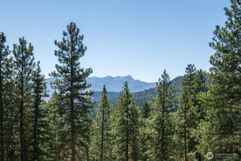 55 Wrangler Lane Leavenworth WA 98826