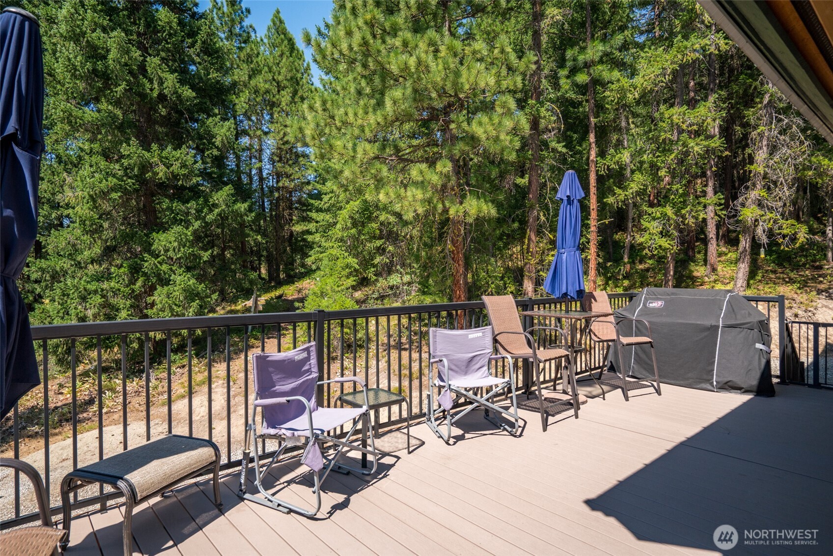 55 Wrangler Lane Leavenworth WA 98826