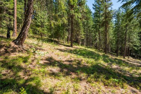 55 Wrangler Lane Leavenworth WA 98826