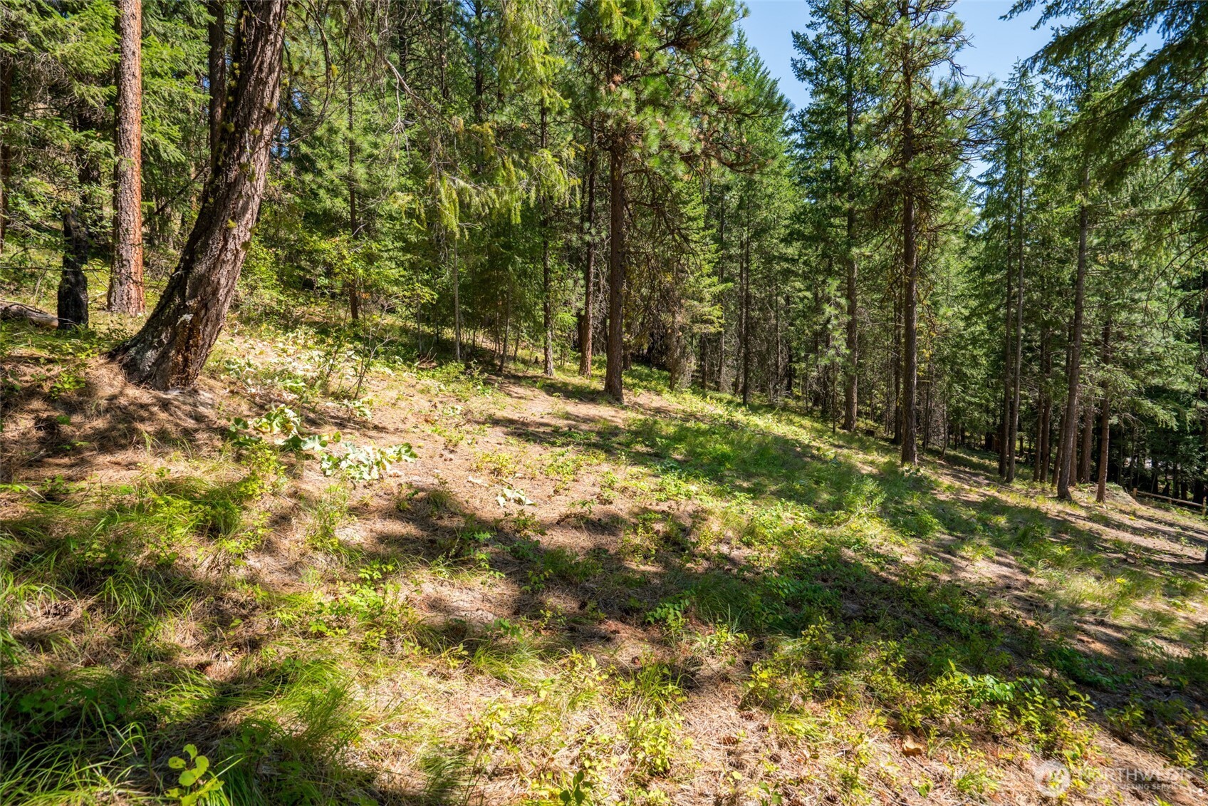 55 Wrangler Lane Leavenworth WA 98826