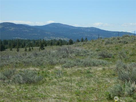 0 Tbd High Country Drive W Tonasket WA 98855
