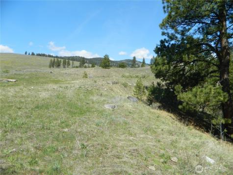 0 Tbd High Country Drive W Tonasket WA 98855