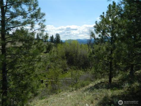 0 Tbd High Country Drive W Tonasket WA 98855