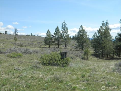 0 Tbd High Country Drive W Tonasket WA 98855