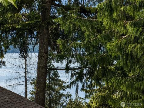 1508 208th Avenue NE Sammamish WA 98074