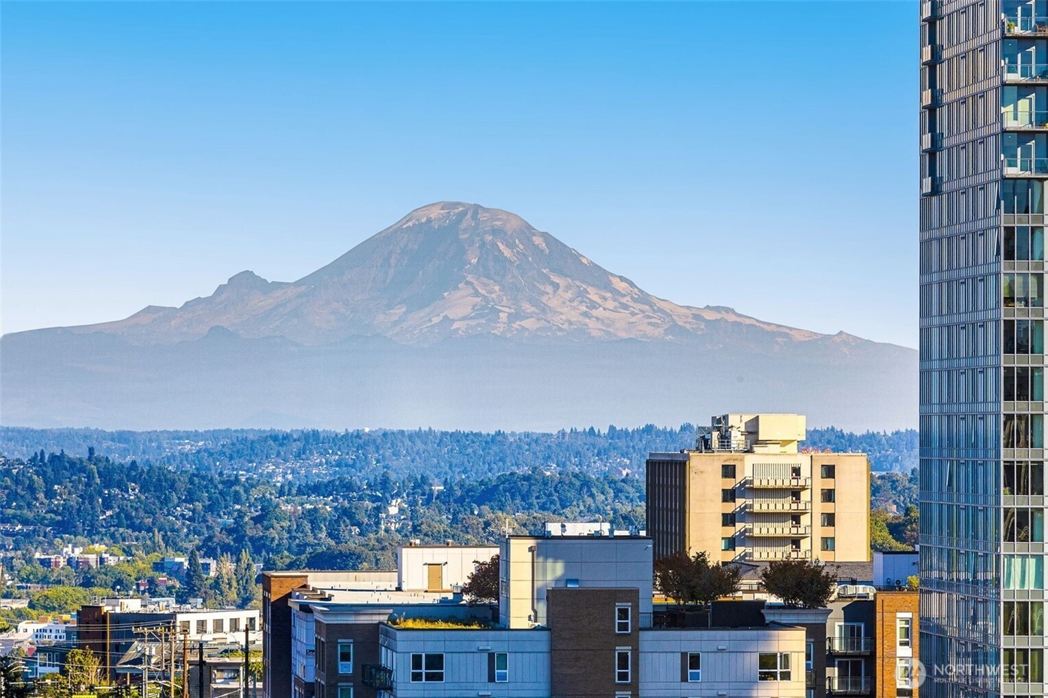 1105 Spring Street Seattle WA 98104