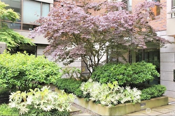 4547 8th Avenue NE Seattle WA 98105