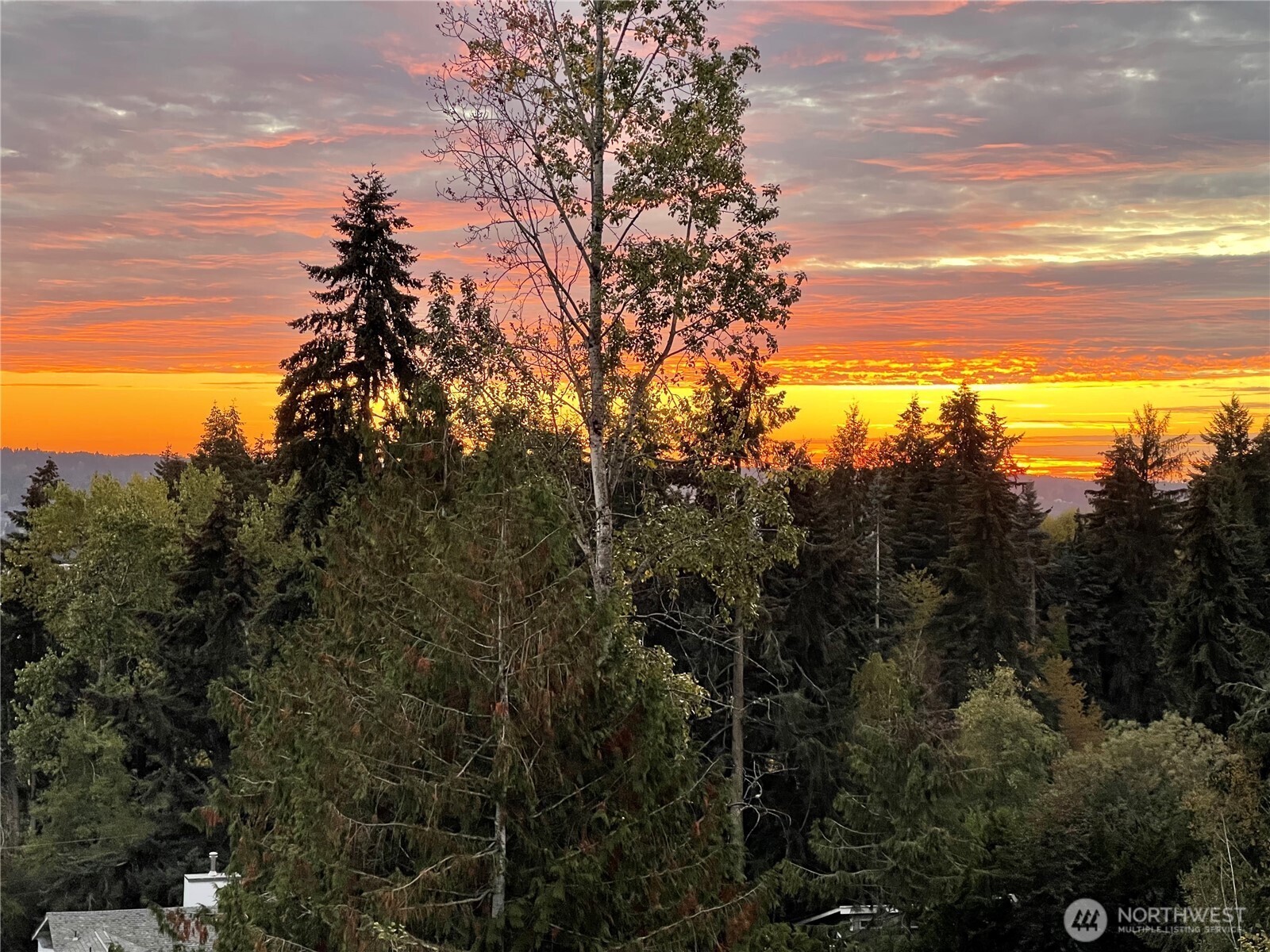 4422 108th Avenue E Edgewood WA 98372