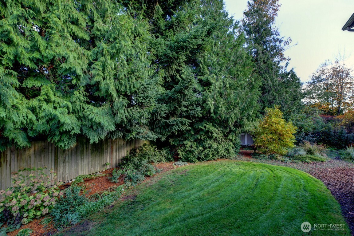 17218 SE 46th Place Bellevue WA 98006