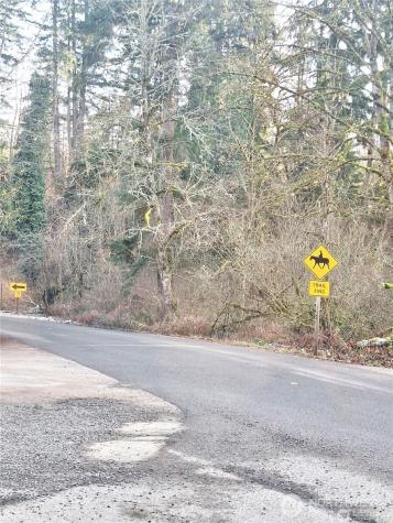 24527 250th Avenue SE Maple Valley WA 98038
